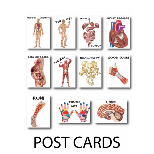 Postkarte Anatomie 3er Set